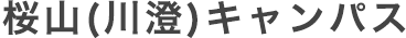 桜山(川澄)キャンパス